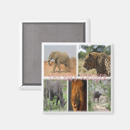 zZA027 ZUID-AFRIKA, DE GROTE 5 in KRUGER NP-Fridge Magneet (Voorkant / Achterkant)