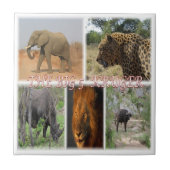 ZZA027 ZUID-AFRIKA, DE GROTE 5 IN KRUGER NP TEGELTJE (Voorkant)